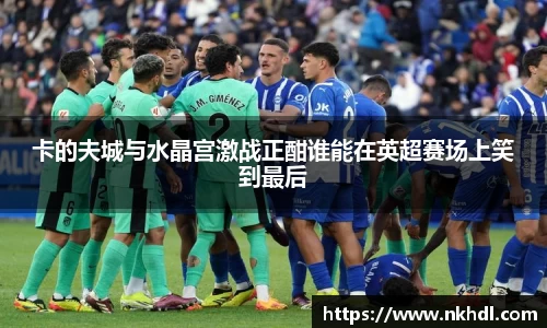 卡的夫城与水晶宫激战正酣谁能在英超赛场上笑到最后